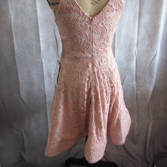 SS full blush pink lace w/nude underlay dress - Picture 6 of 6